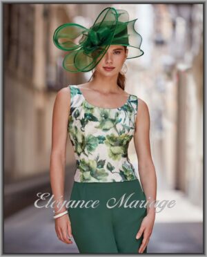 Alternative view of Ensemble CAMILA