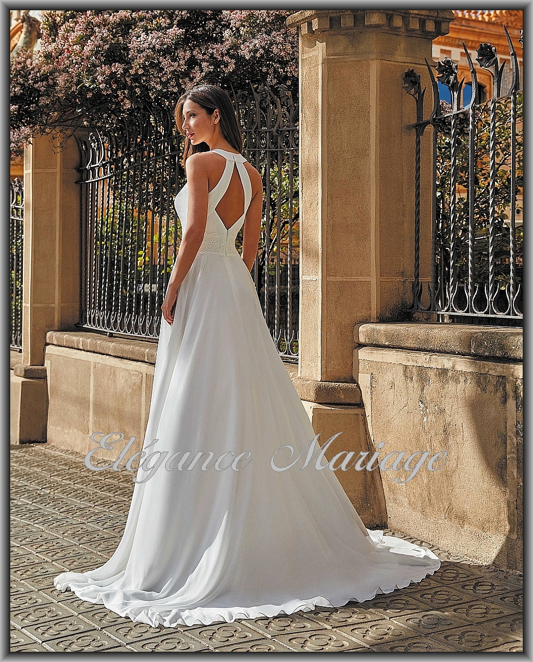 Cléome – Image 2