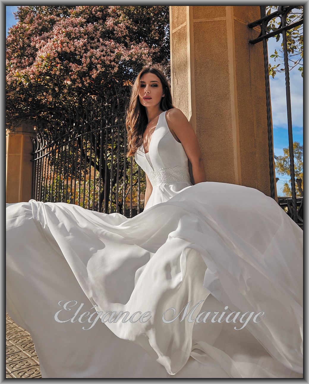 Cléome – Image 3