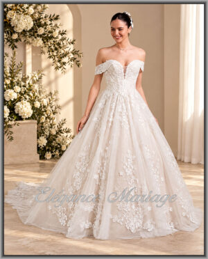 Imagine, robe de mariée princesse en dentelle à Mont-de-Marsan